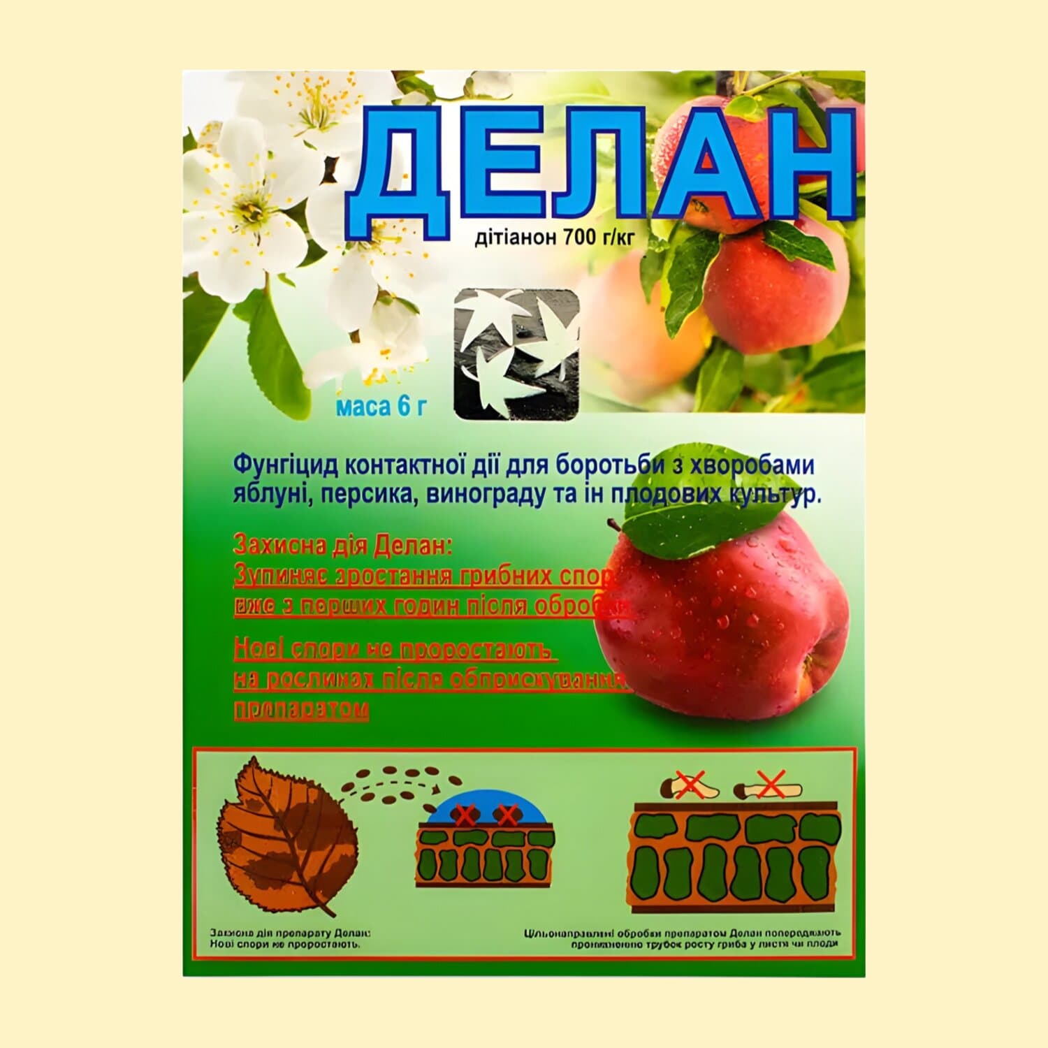 Делан 70 в.г.