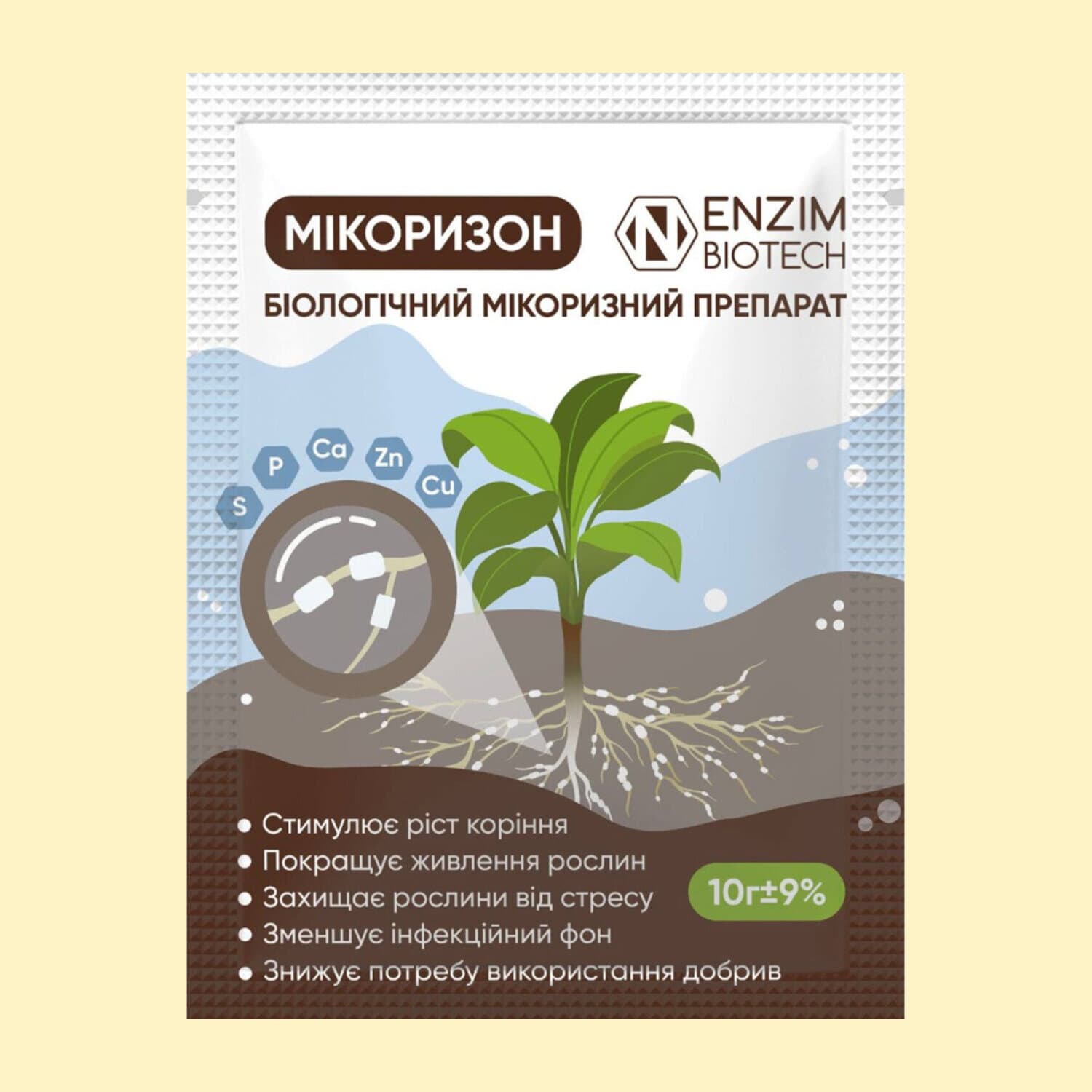 Мікоризон