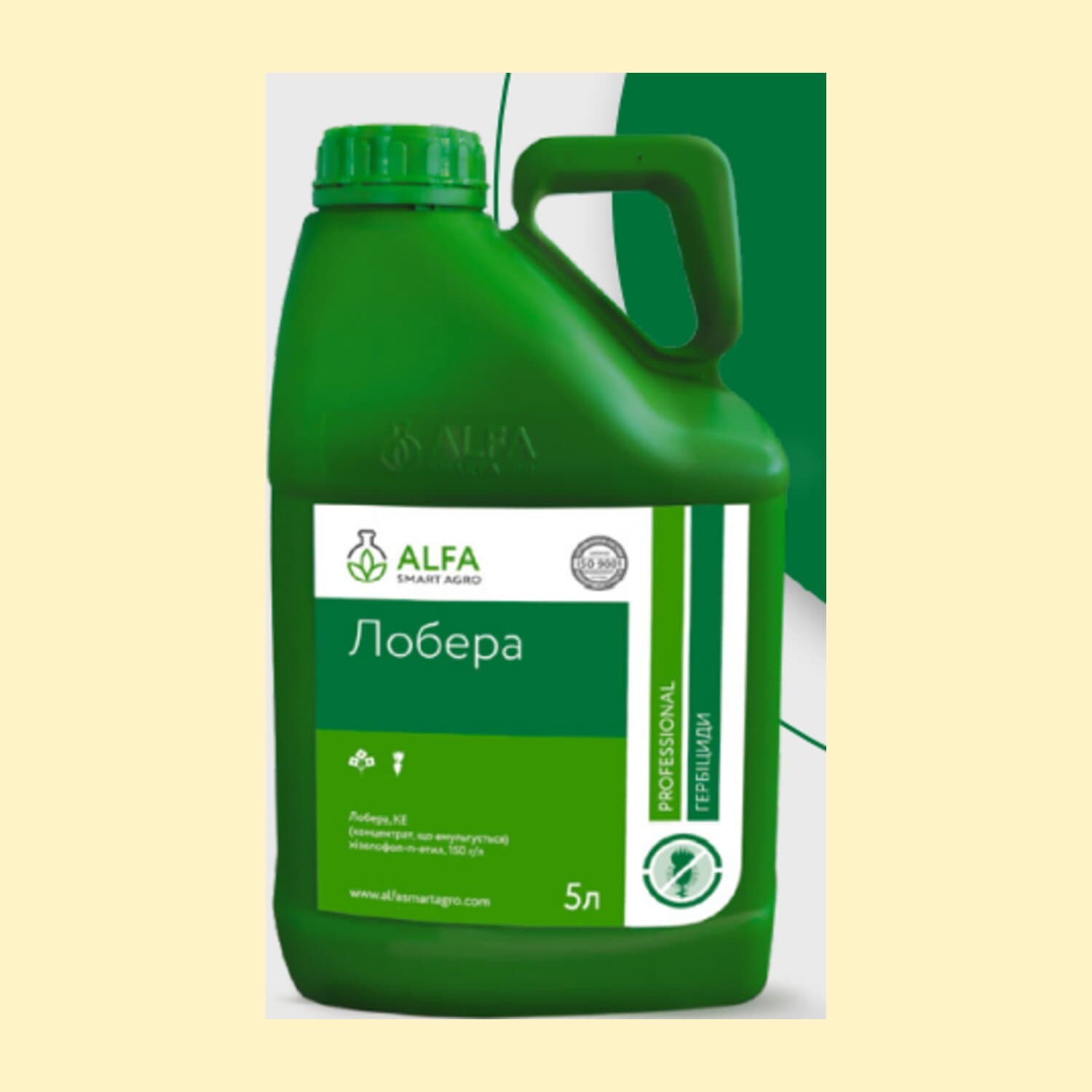 Лобера к.с.