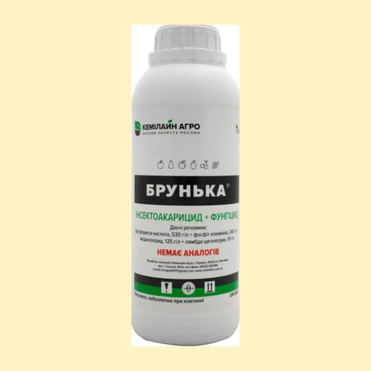 Брунька р.к.