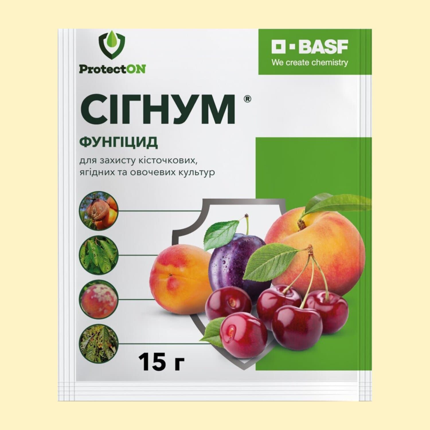 Сігнум в.г.