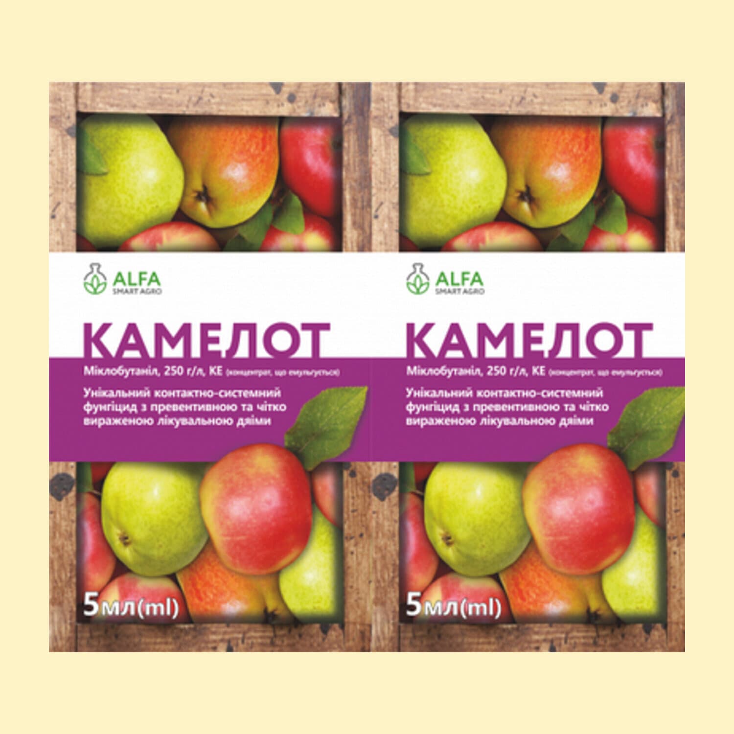 Камелот к.е.