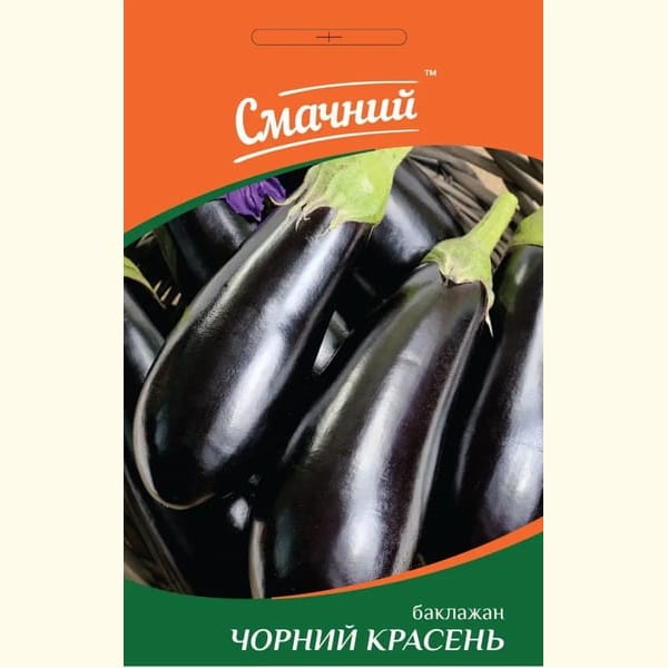 Баклажан Чорний красень 2