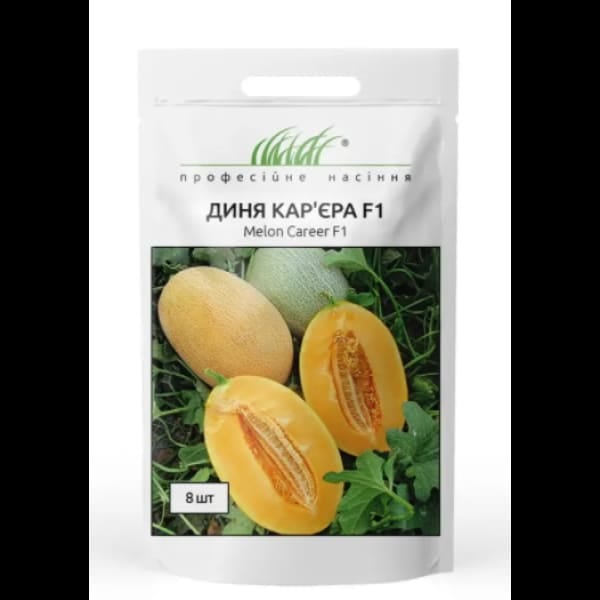 Диня Кар'єра F1 2