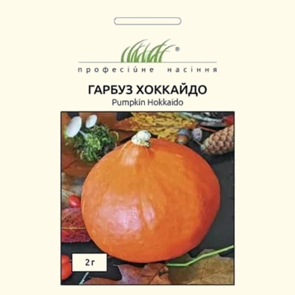 Гарбуз Хоккайдо 2