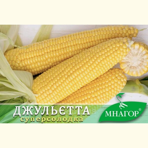 Кукурудза Джульєтта F1 2