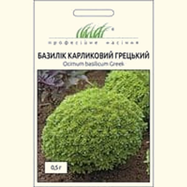 Базилік Грецький декоративний 2