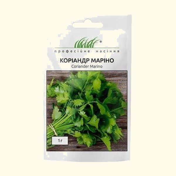 Коріандр Маріно 2