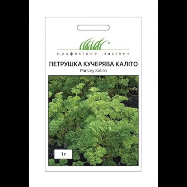 Петрушка Каліто кучерява 2