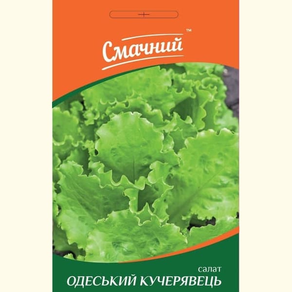 Салат Одеський кучерявець