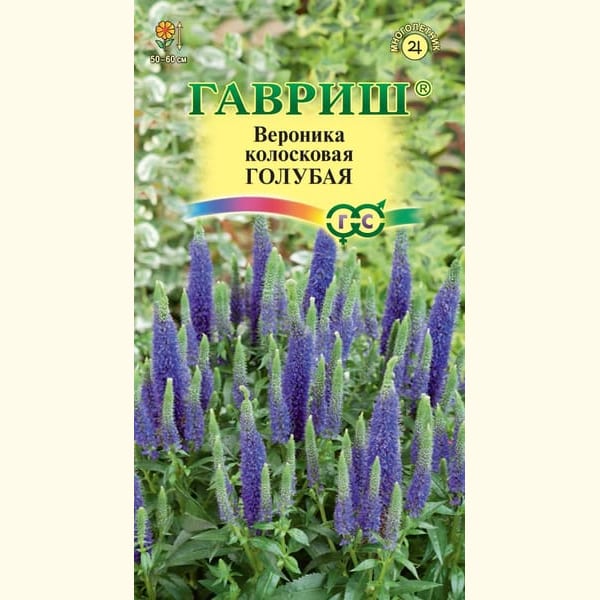 Вероніка Королівська темно-синя 2