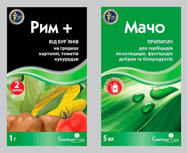 Рим + Мачо
