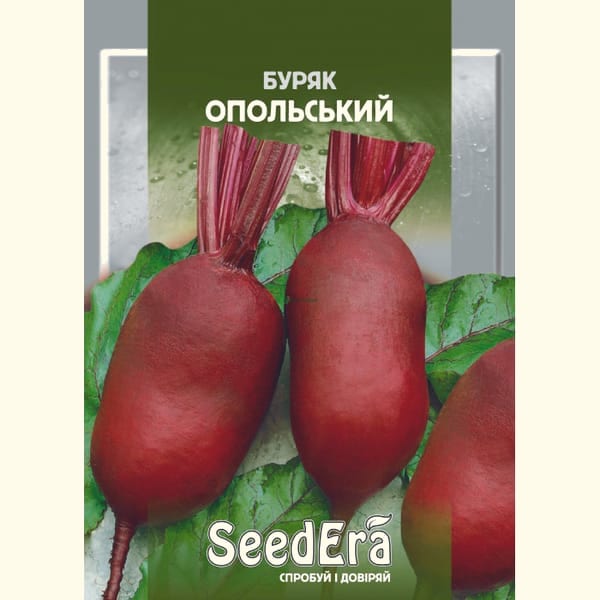 Буряк столовий Опольська