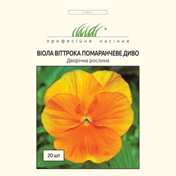 Віола віттрока Помаранчеве диво