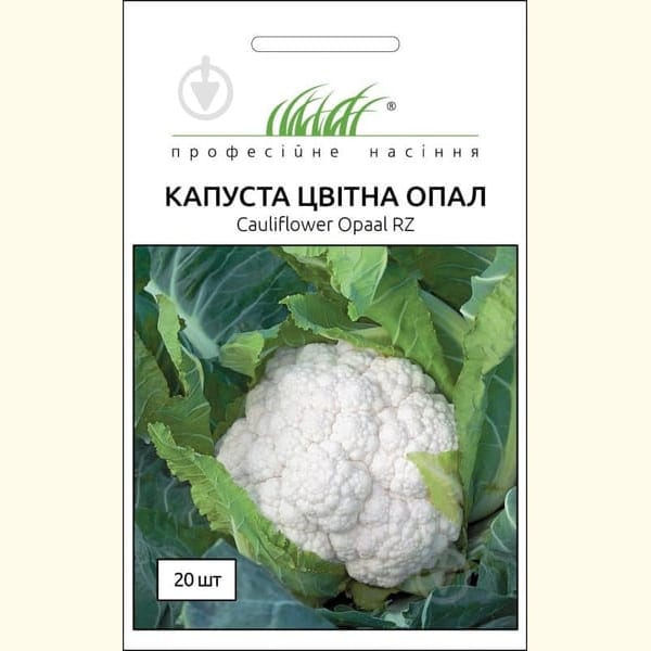 Капуста цвітна Опал
