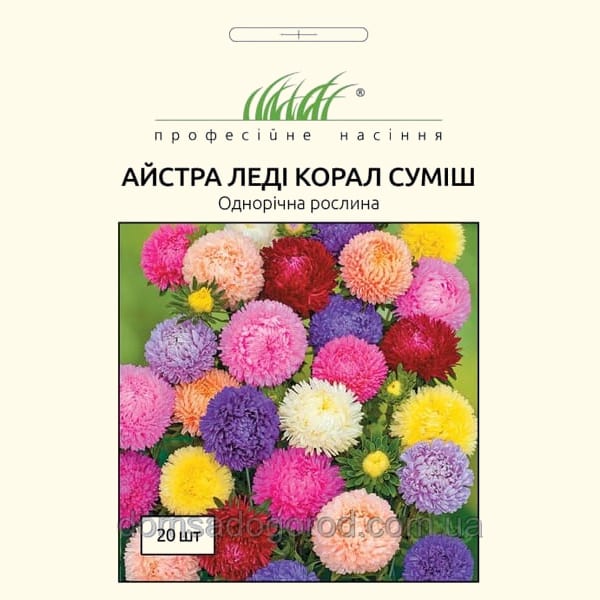 Леді Корал хризантемовидна Корал суміш