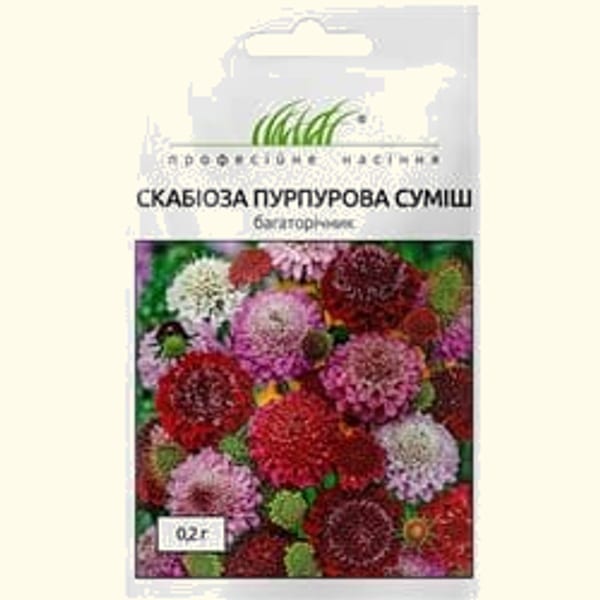 Однорічники Скабіоза суміш