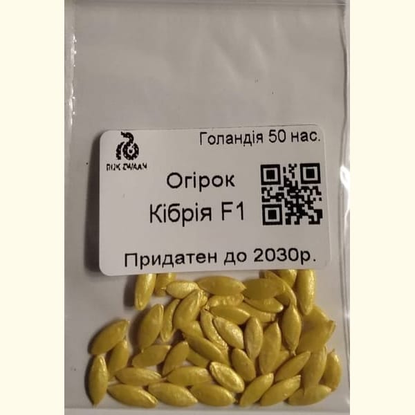 Огірок Кібрія F1