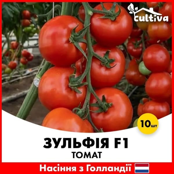 Томат Зульфія F1