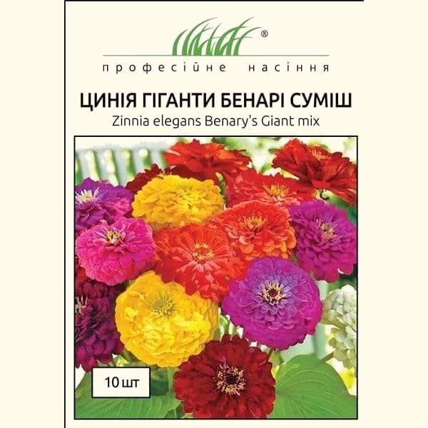 Цинія на зріз Гіганти Бенарі суміш